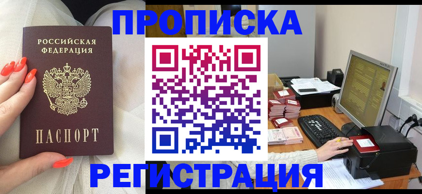 временная регистрация поиск в Щёлково